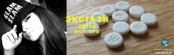 стаф Дмитровск