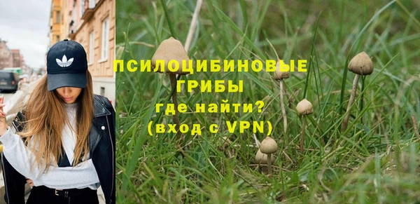 мет Дмитров