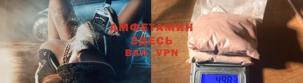 стаф Дмитровск