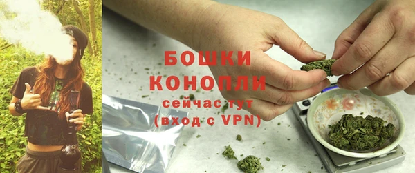 стаф Дмитровск